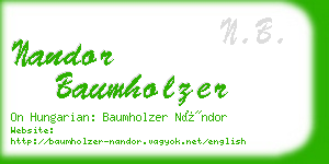 nandor baumholzer business card